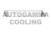 AUTOGAMMA 107233 Radiator, engine cooling